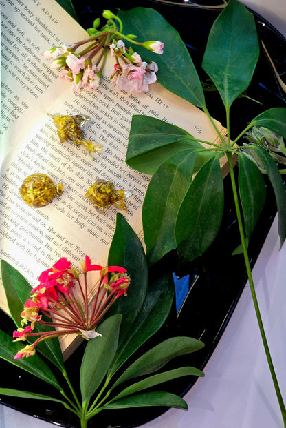 Mixed Aquarium Species – 6 Resin Marine Charms