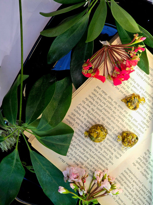 Mixed Aquarium Species – 6 Resin Marine Charms