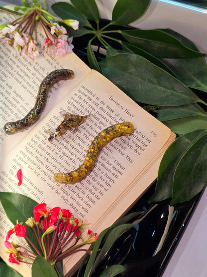 Mixed Aquarium Species – 6 Resin Marine Charms