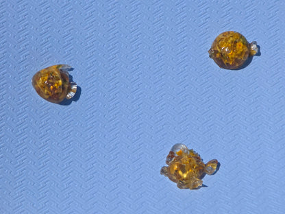 Mixed Aquarium Species – 6 Resin Marine Charms