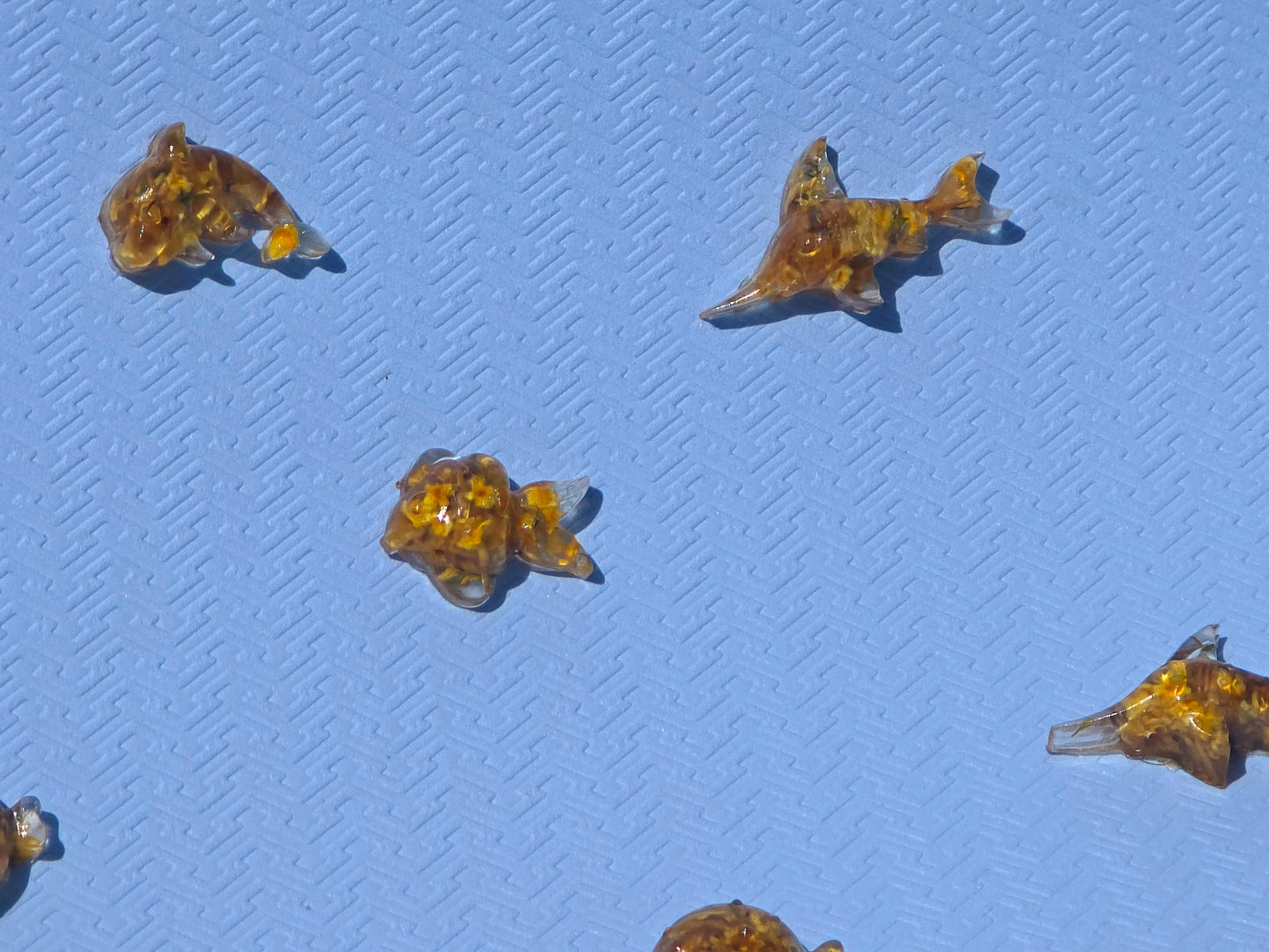 Mixed Aquarium Species – 6 Resin Marine Charms