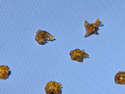 Mixed Aquarium Species – 6 Resin Marine Charms