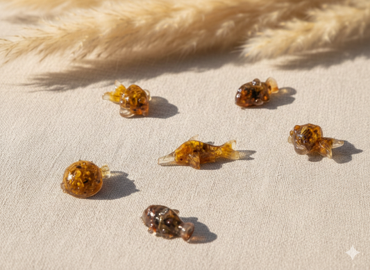 Mixed Aquarium Species – 6 Resin Marine Charms