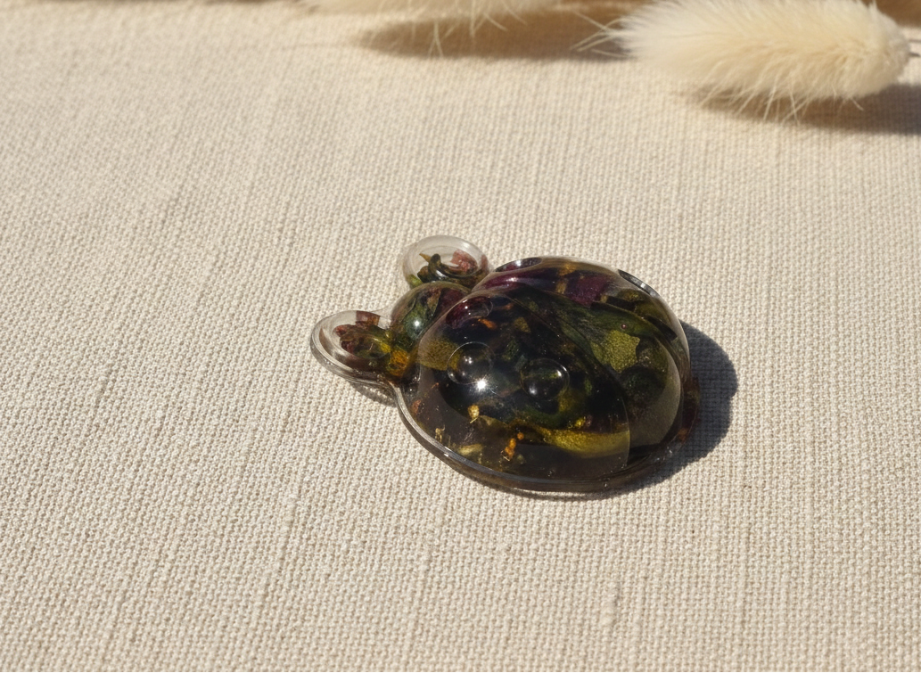 Wild Meadow Turtle